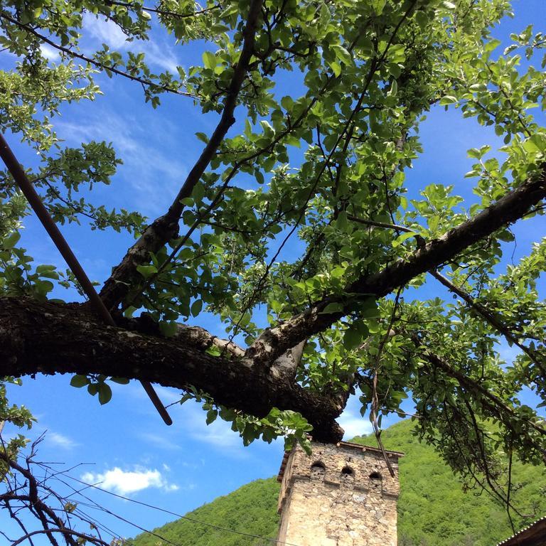 Guest House Chuta In Lagami Mestia Exterior foto