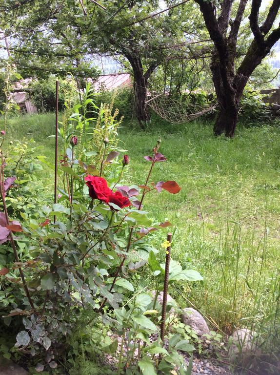 Guest House Chuta In Lagami Mestia Exterior foto
